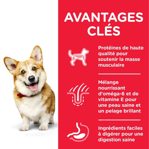Croquettes pour chien adulte petite race Hill’s Science Plan – Poulet thumbnail 5