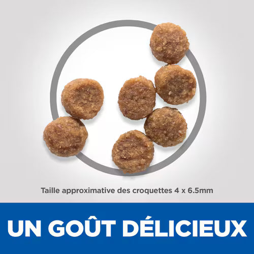 Croquettes pour chiot petite race Hill’s Science Plan – Poulet (6 kg) thumbnail 3