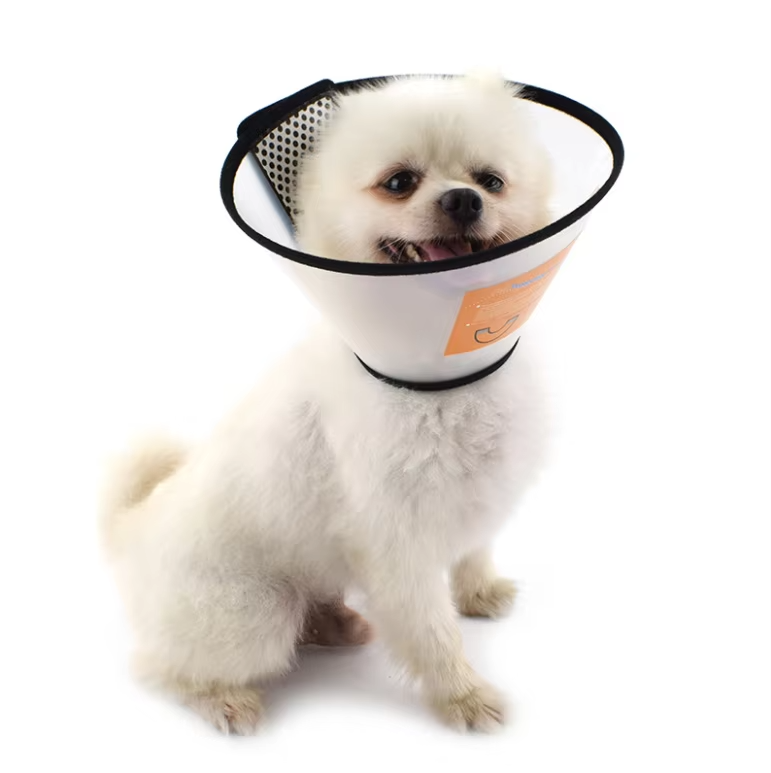 Colerette de Récupération Ajustable – 7 Tailles pour Chiens et Chats (15–46 cm) - 1