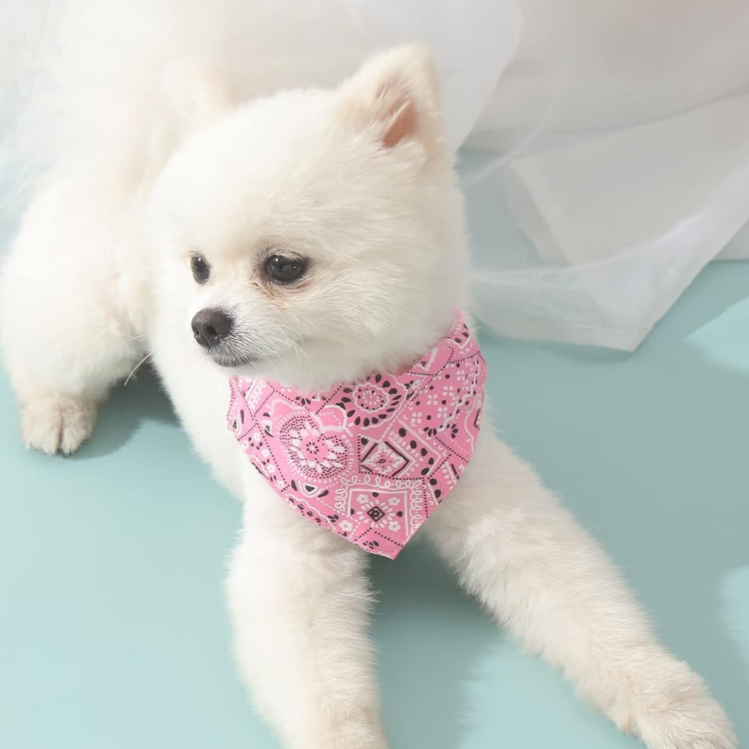 Collier Bandana pour Chien & Chat – Foulard Réglable avec Boucle Sécurité thumbnail 7