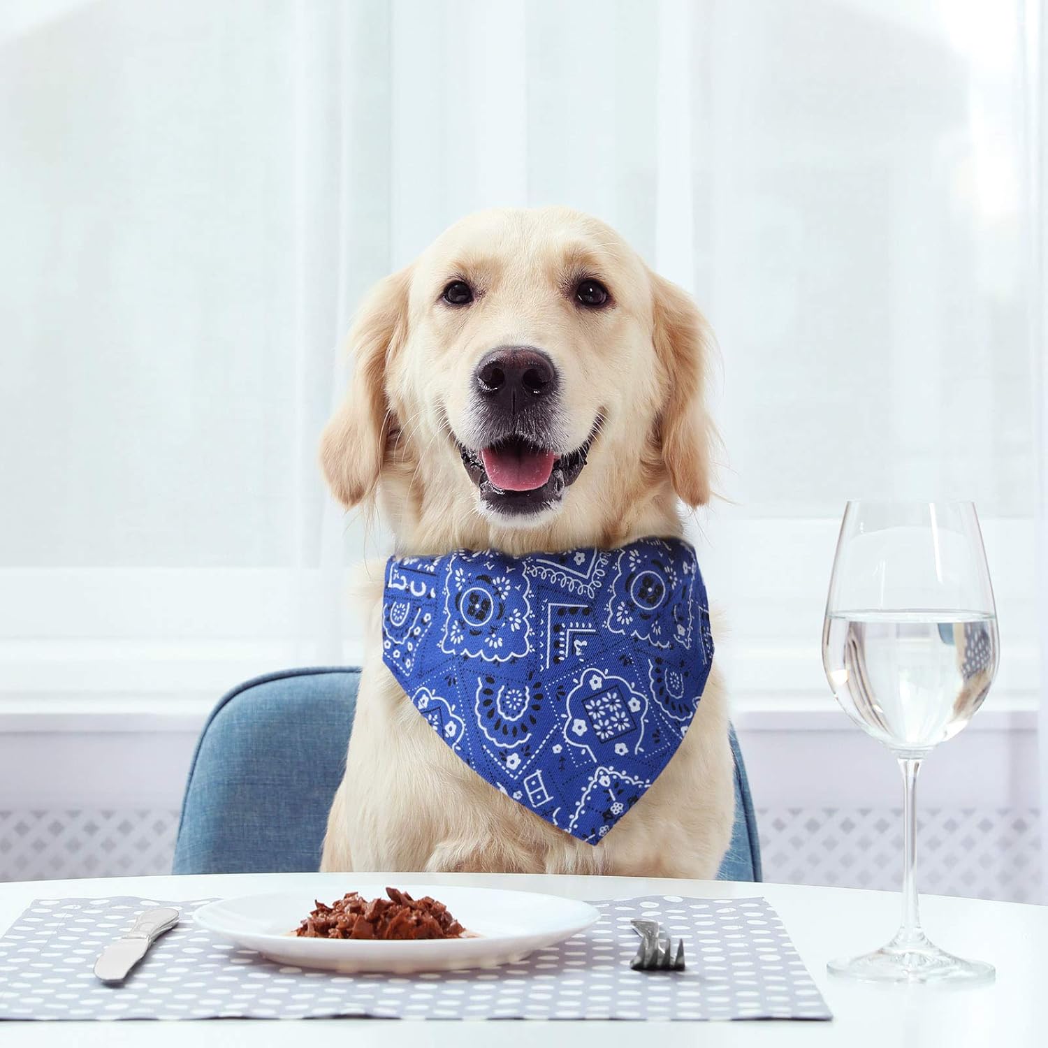 Collier Bandana pour Chien & Chat – Foulard Réglable avec Boucle Sécurité thumbnail 8