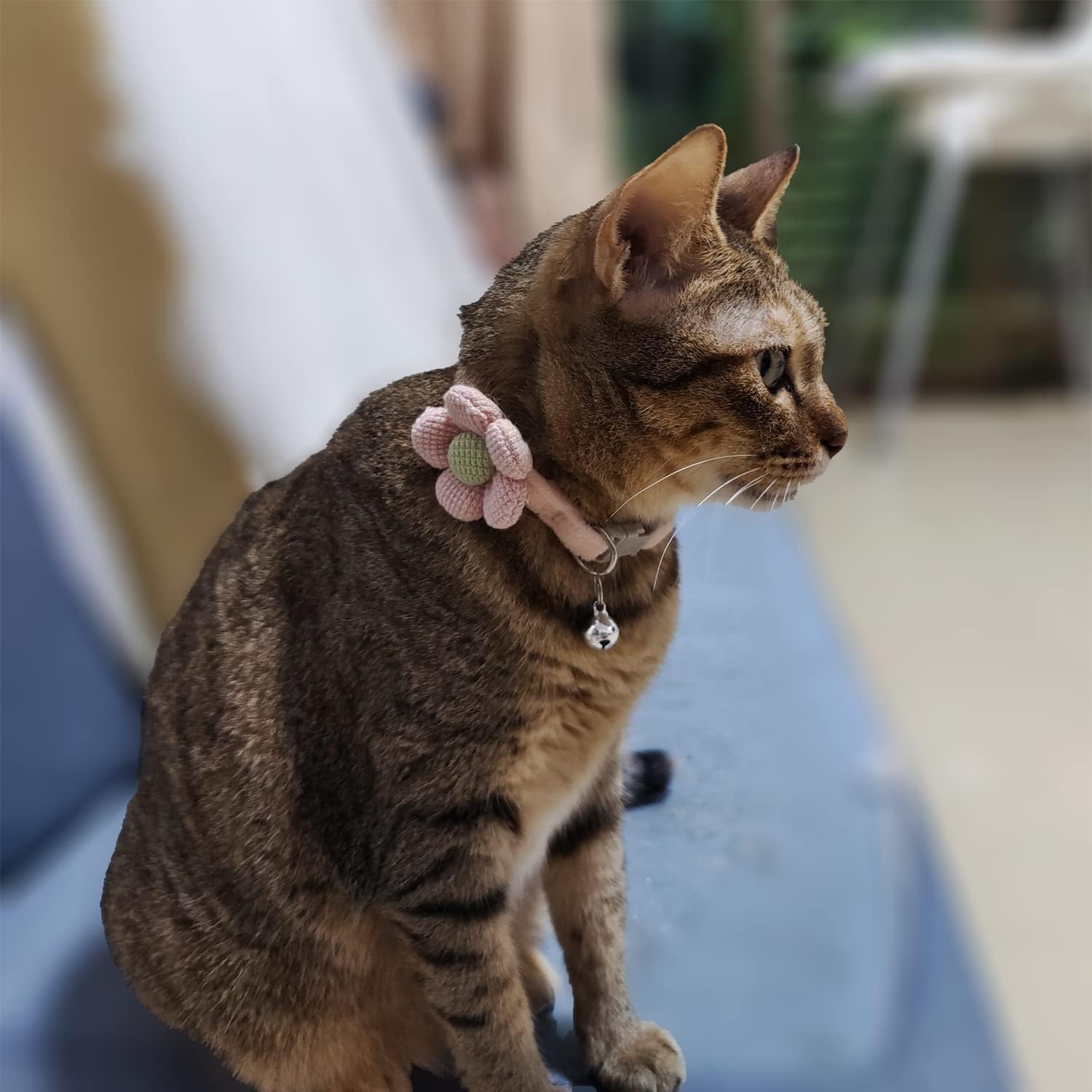 Collier de Chat Sécurité avec Clochette – Réglable & Mignon thumbnail 5