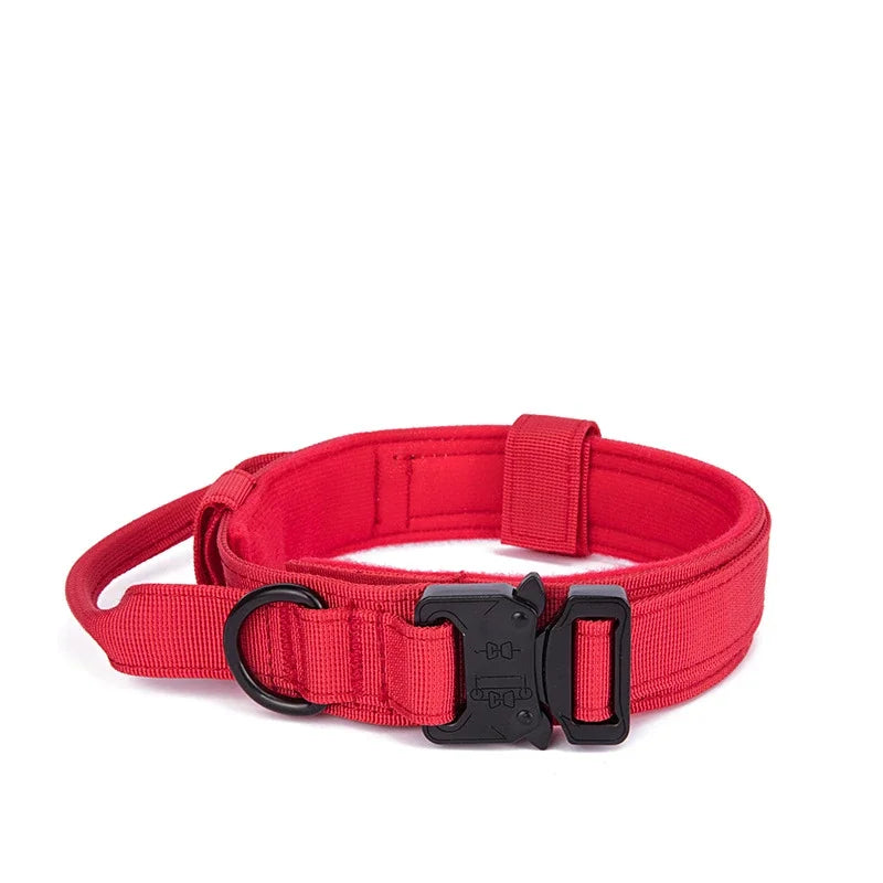 Collier pour Chien Robuste – Nylon Renforcé avec Doublure Souple thumbnail 13