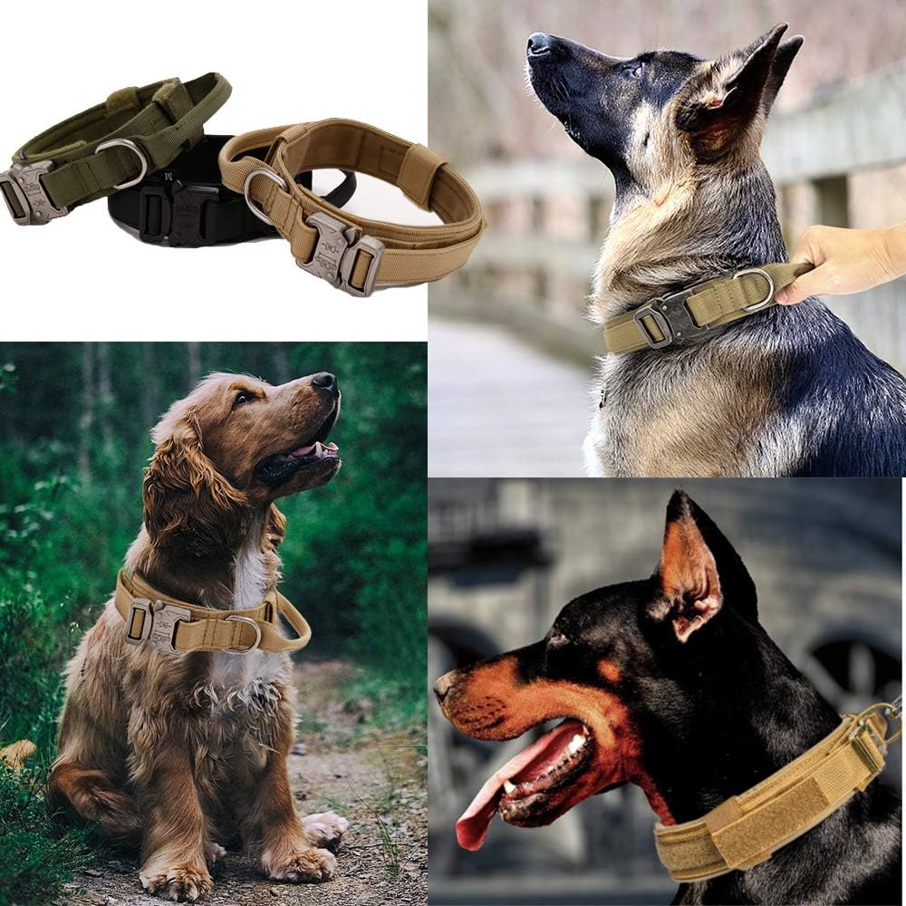 Collier pour Chien Robuste – Nylon Renforcé avec Doublure Souple thumbnail 7