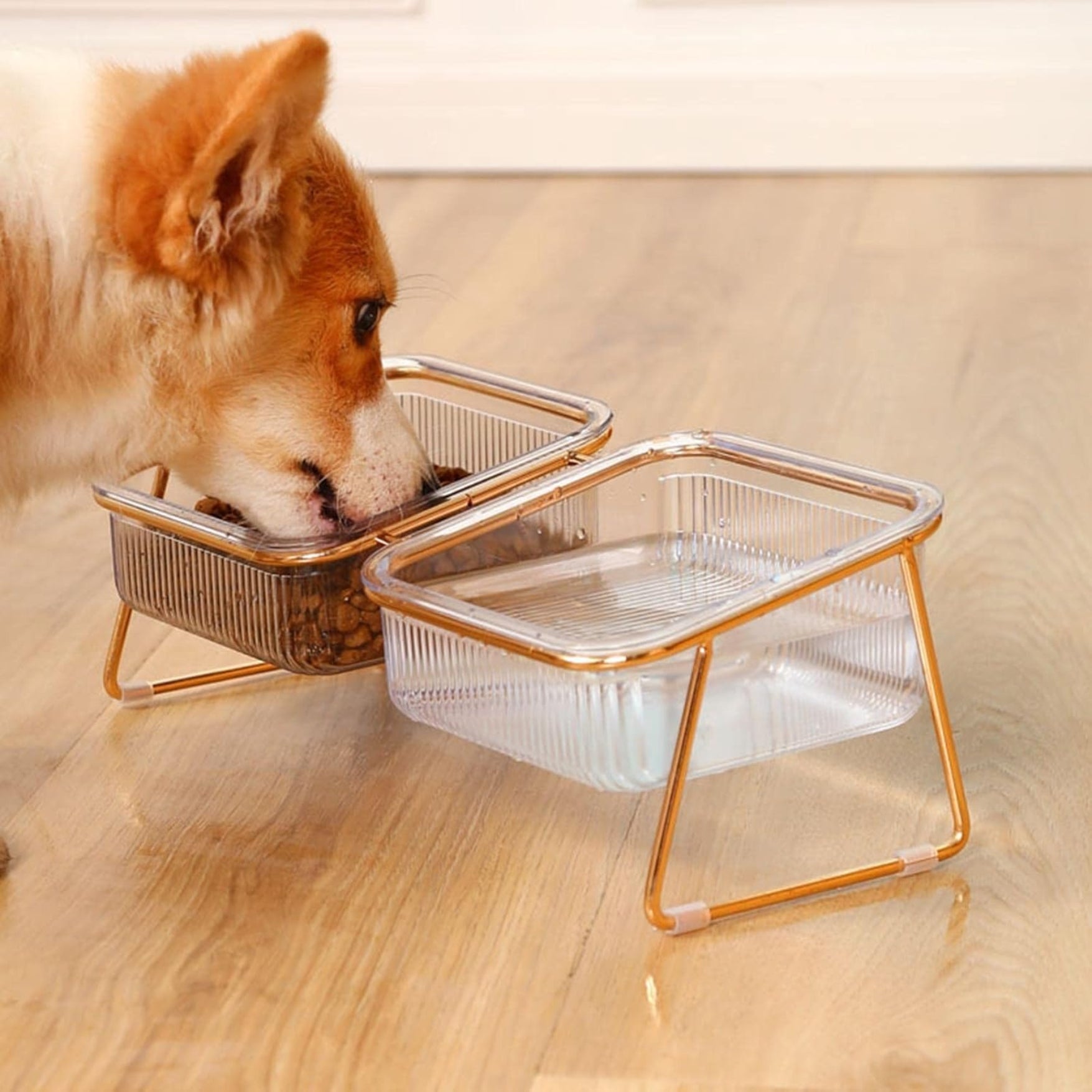 Gamelle Double avec Support – Antidérapant, Inclinée & Facile à Nettoyer thumbnail 4