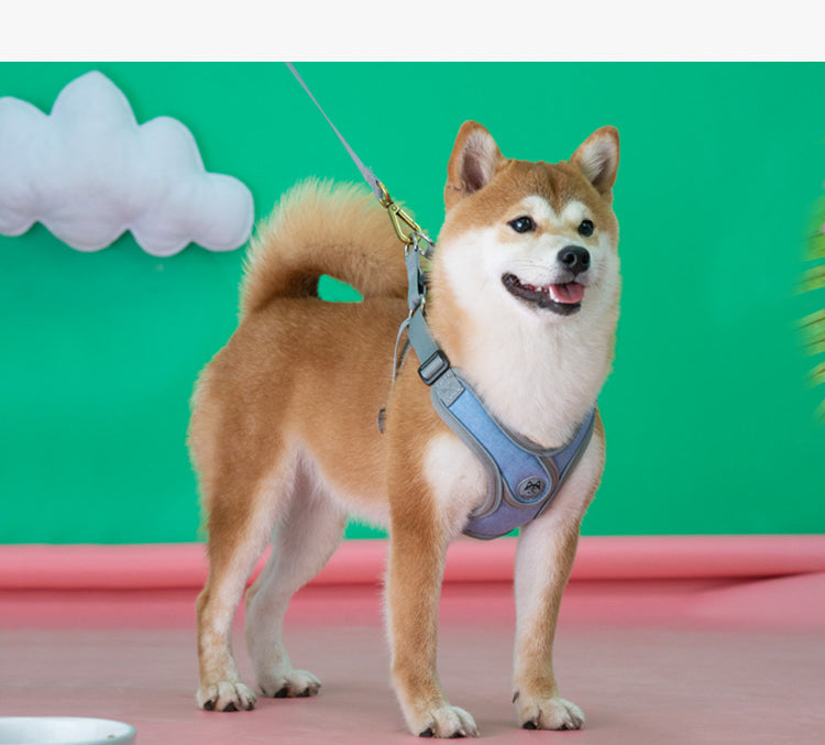 Harnais et laisse pour chien - Ajustement personnalisable thumbnail 5