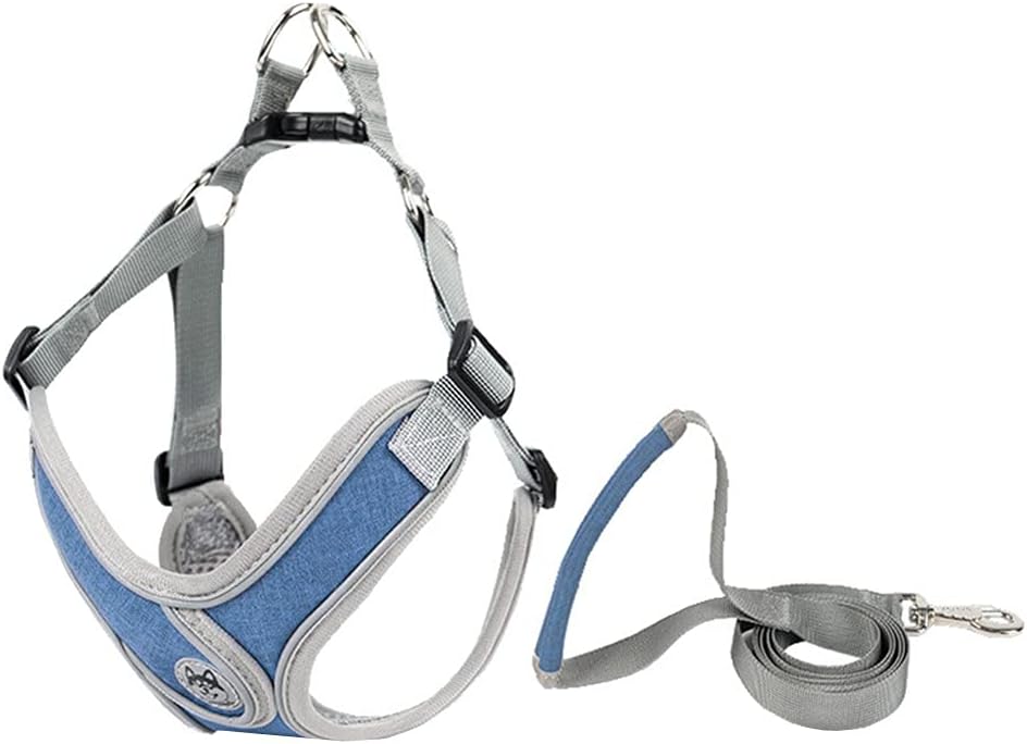 Harnais et laisse pour chien - Ajustement personnalisable thumbnail 6