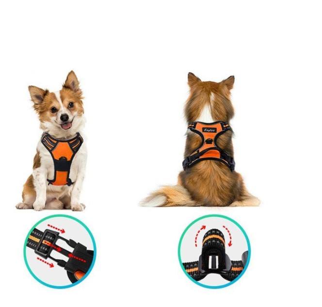 Harnais pour chiens de taille  grande thumbnail 8