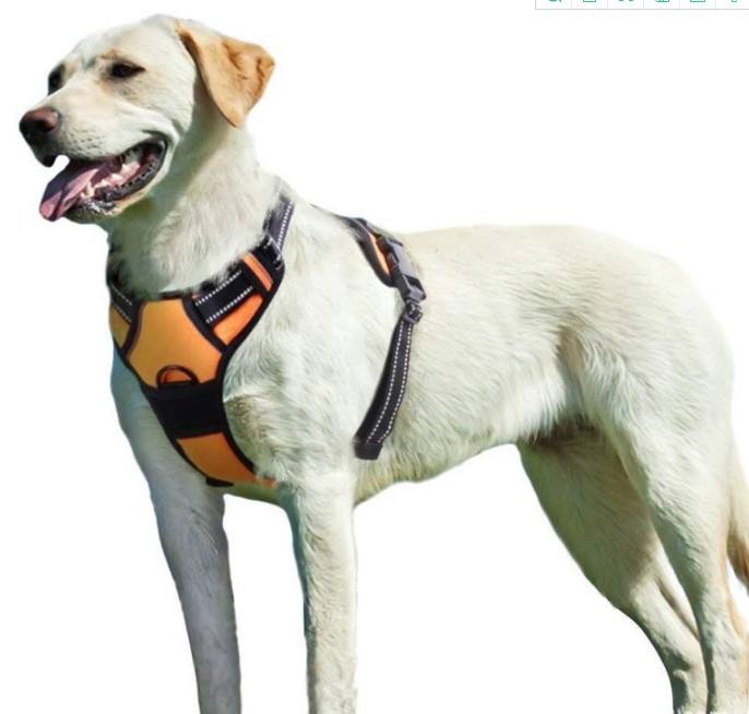 Harnais pour chiens de taille  grande thumbnail 9