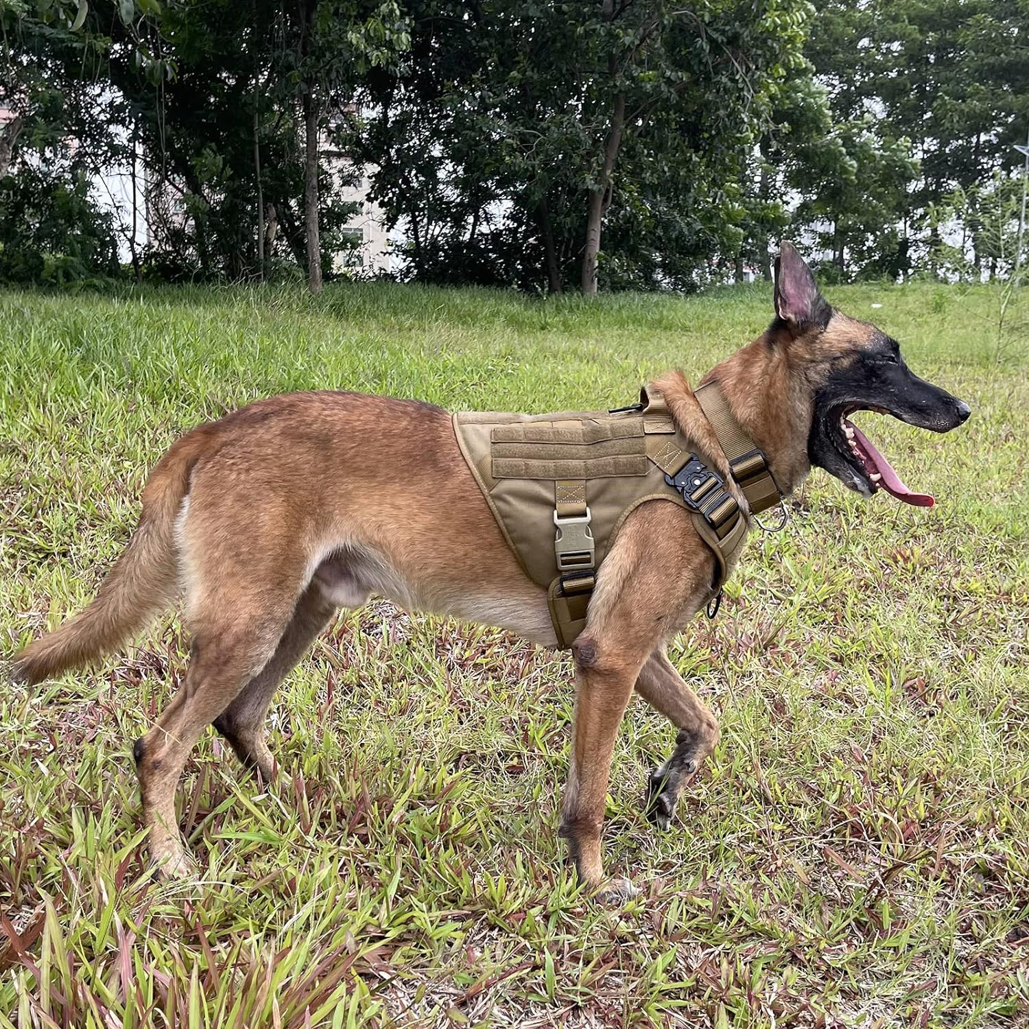 Harnais robuste pour chiens de grandes races (taille L) thumbnail 5