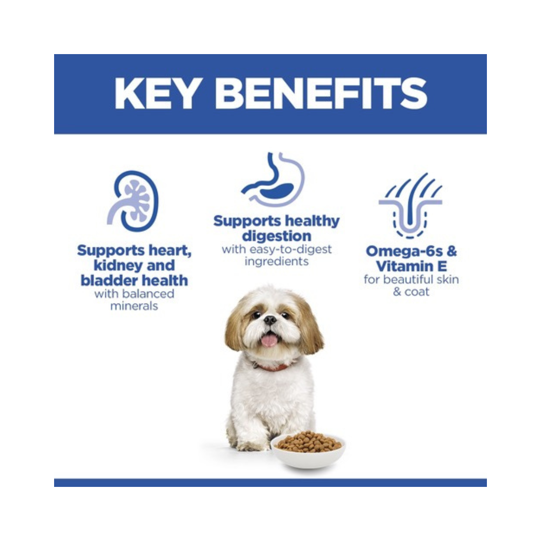 Hill’s Science Plan Croquettes Chien Senior Small & Mini Poulet thumbnail 4