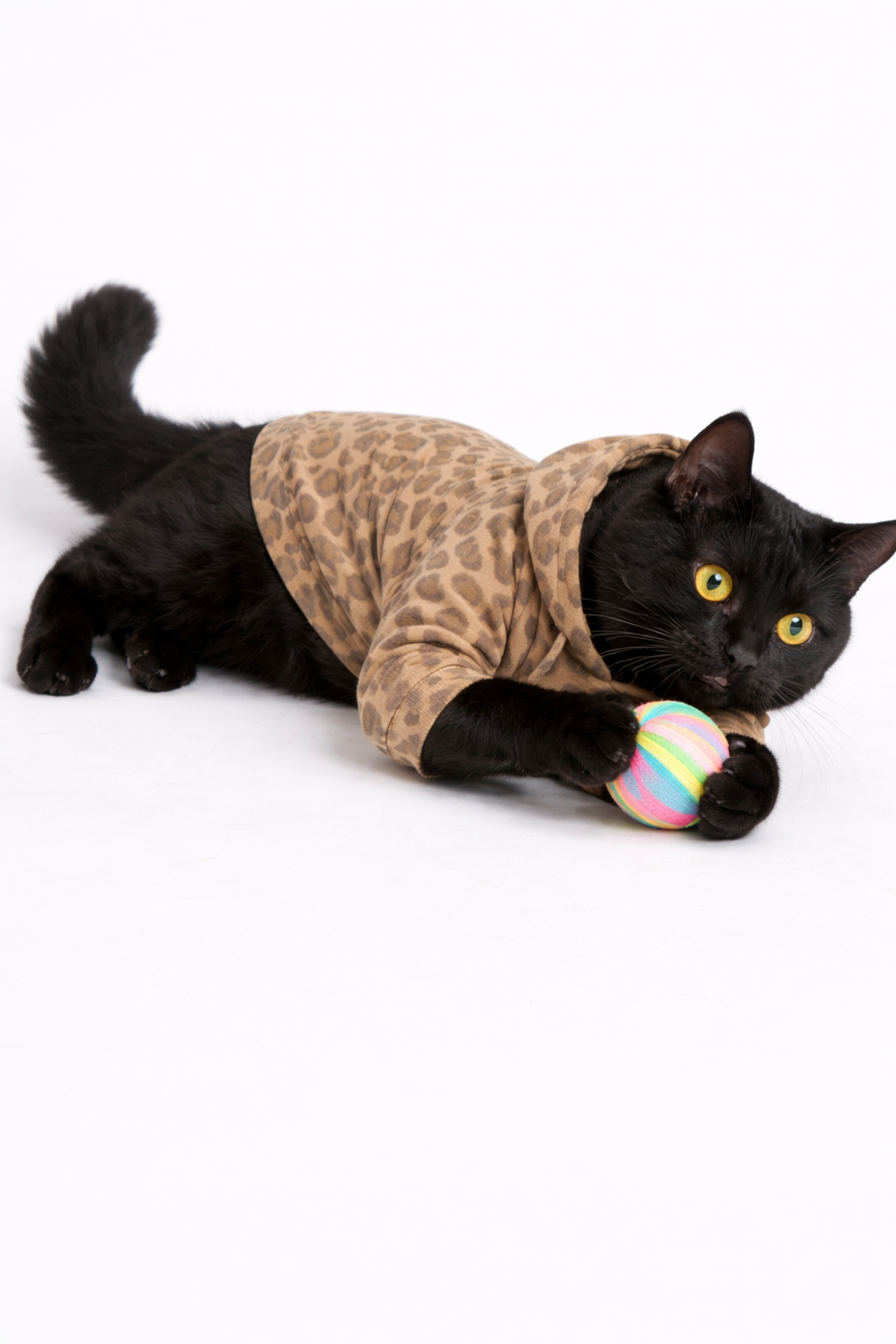 Hoodie Léopard  thumbnail 5