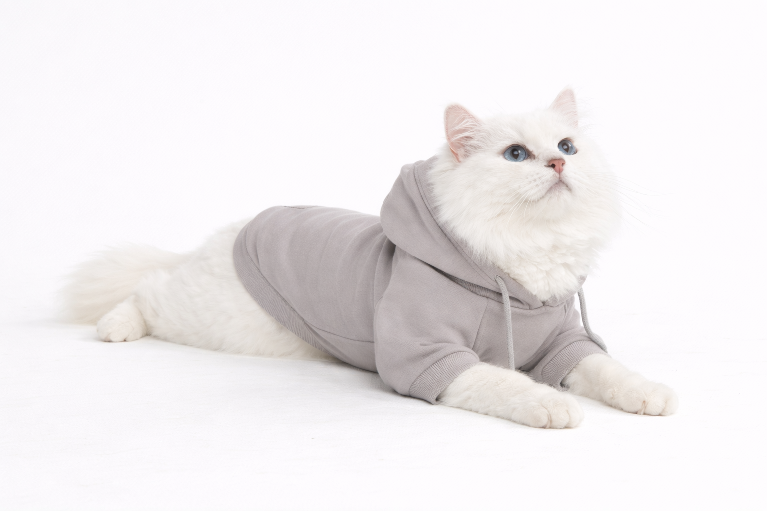 Hoodie Montonee pour Chats & Petits Chiens thumbnail 9