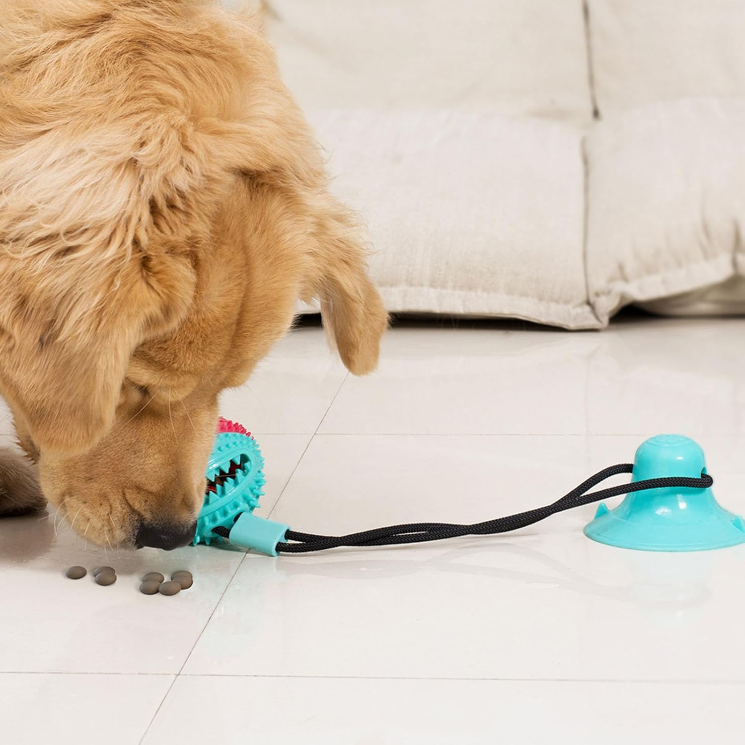 Jouet pour chien – Ventouse, balle distributrice et tir à la corde thumbnail 3
