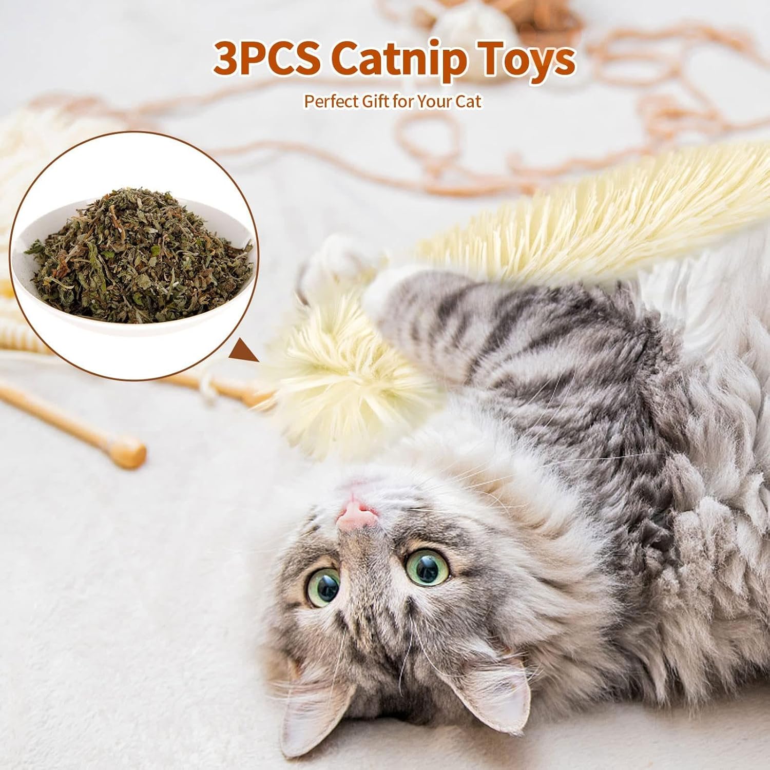 Jouet Oreiller à Cataire – Peluche Anti-Morsure avec Bruissement - 2