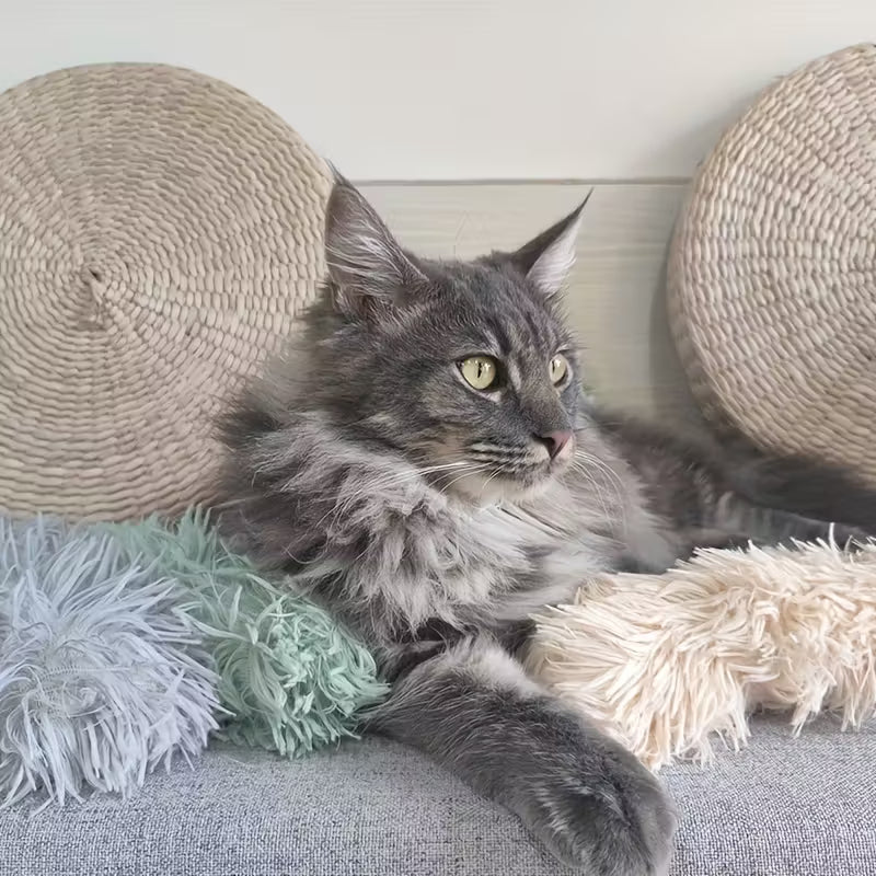 Jouet Oreiller à Cataire – Peluche Anti-Morsure avec Bruissement thumbnail 3