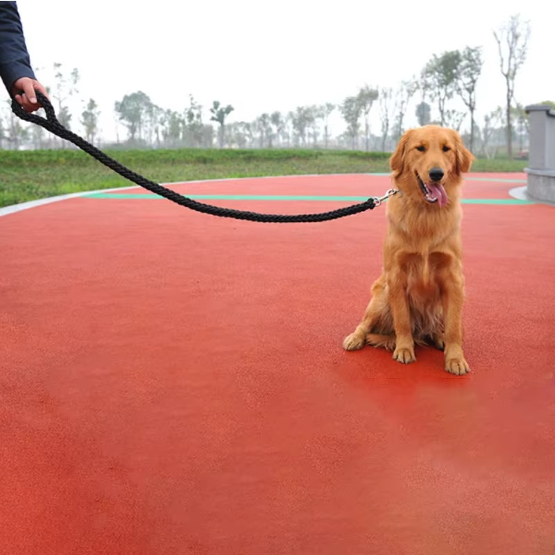 Laisse Solide pour Chien – Corde Renforcée de 120 cm pour Chiens Moyens à Très Grands thumbnail 3
