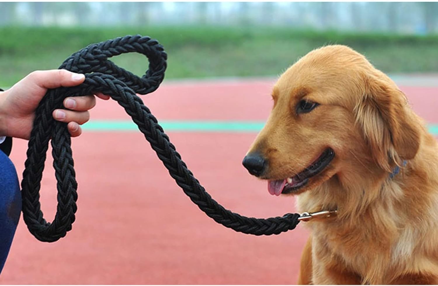 Laisse Solide pour Chien – Corde Renforcée de 120 cm pour Chiens Moyens à Très Grands thumbnail 4