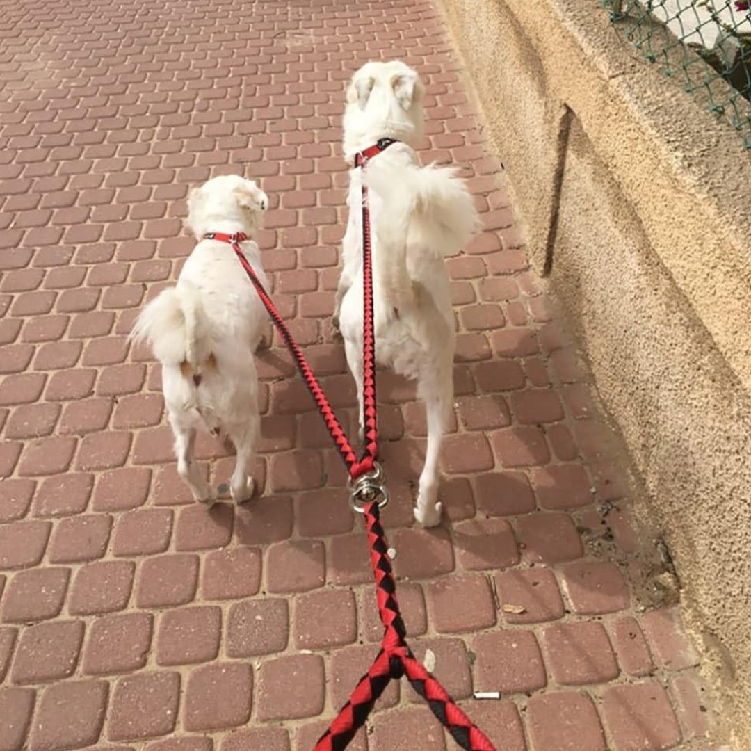 Laisse Double pour Deux Chiens – Système Antienchevêtrement thumbnail 6