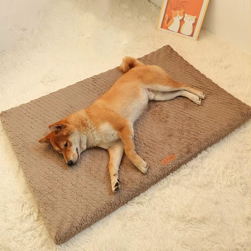 Lit pour Chien en Peluche – Doux, Lavable & Antidérapant thumbnail 2