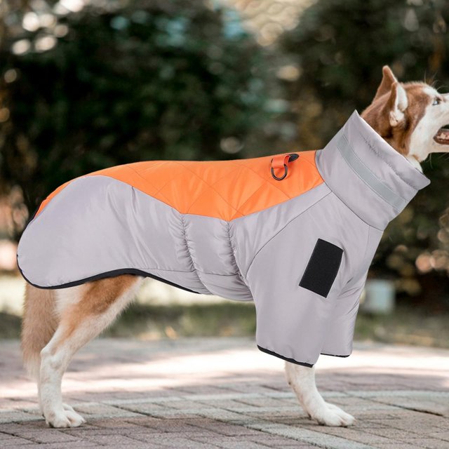 Manteau d’Hiver Réfléchissant pour Chien – Chaud & Coupe-Vent thumbnail 7
