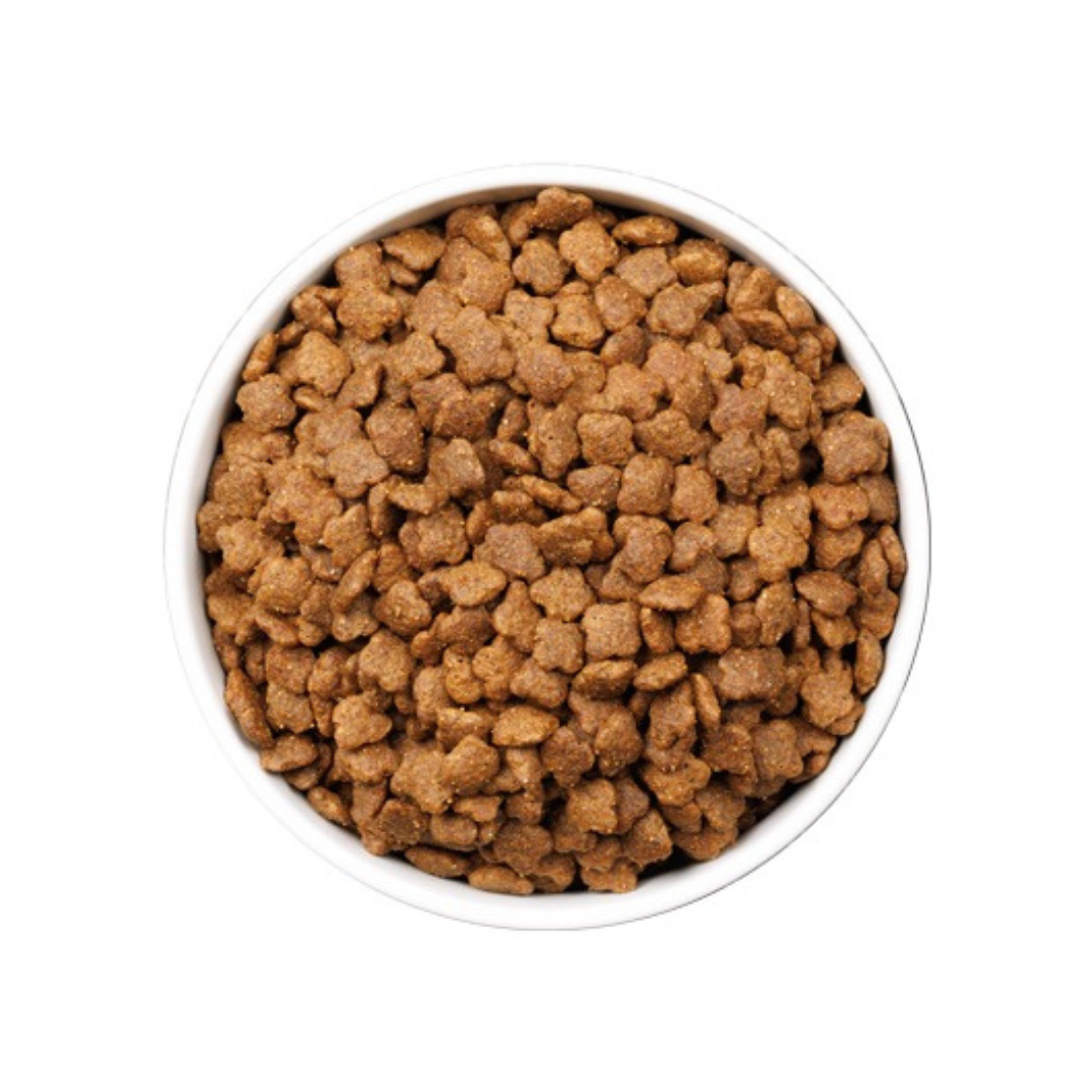 Ownat Ultra Young Cat – Aliment Complet pour Chat Adulte (3 kg) thumbnail 4