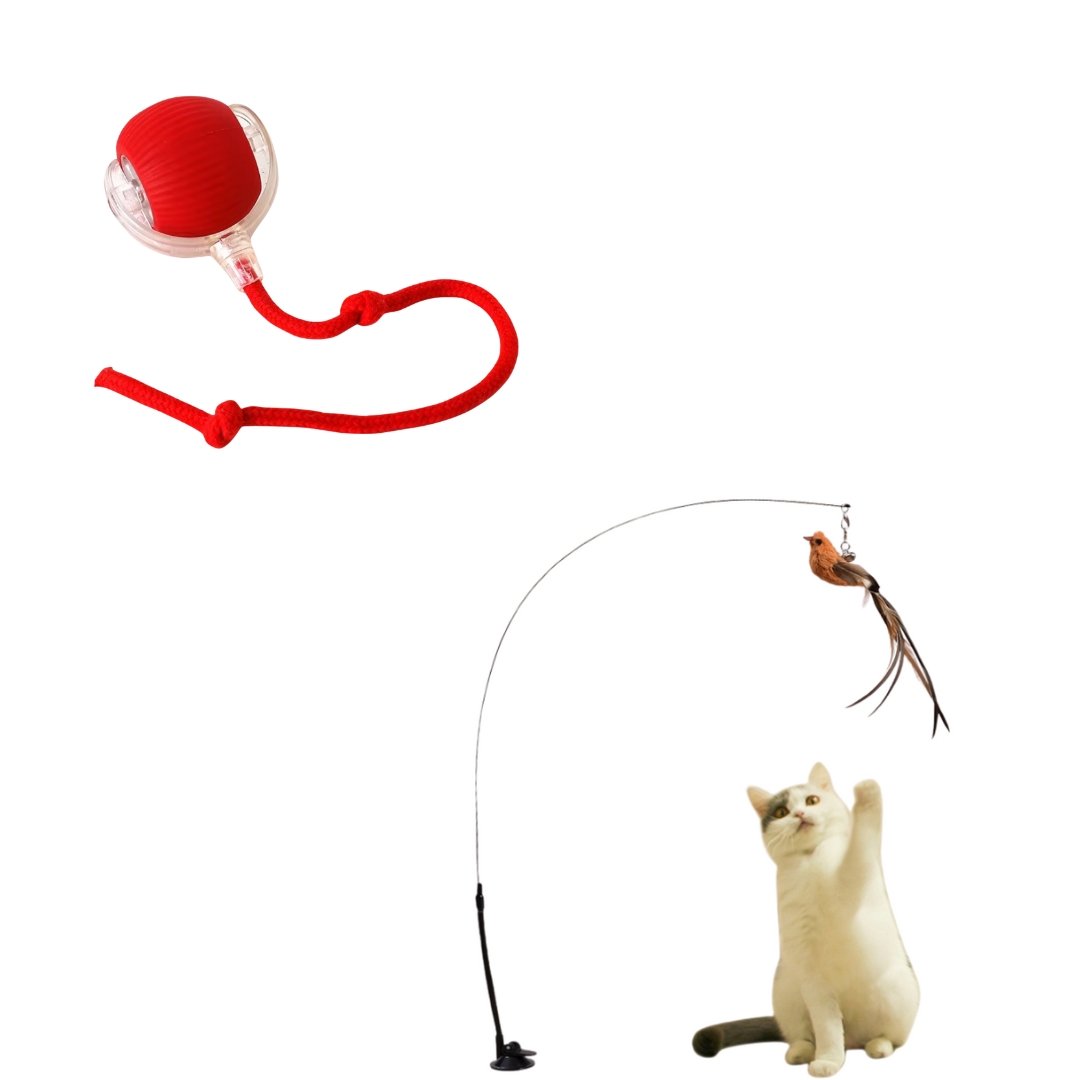 Pack Jeu Ultime pour Chat – Canne à Plumes + Balle Intelligente - 1