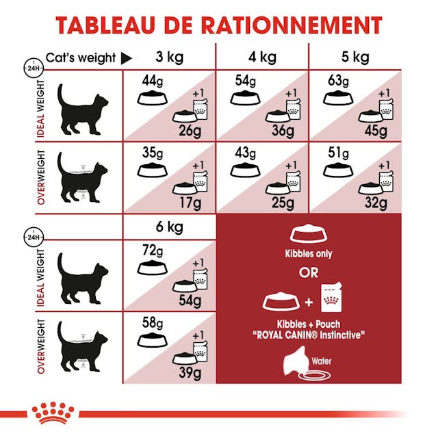 Royal Canin Fit 32 - Croquettes équilibrées pour chats adultes (2 kg) thumbnail 4