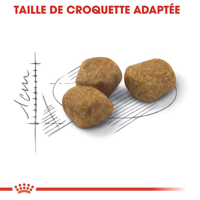 Royal Canin Fit 32 - Croquettes équilibrées pour chats adultes (2 kg) thumbnail 6