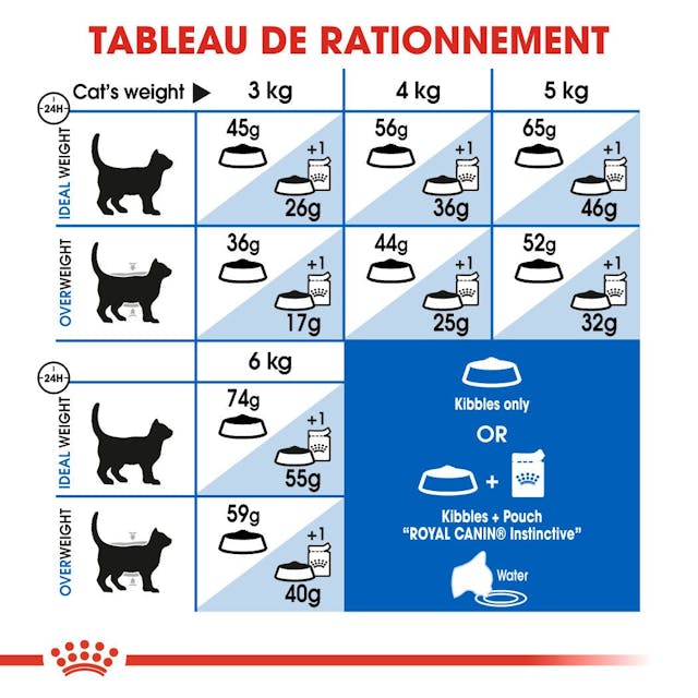 Royal Canin Indoor 27 - Croquette pour chat d’Intérieur (2 kg) thumbnail 5