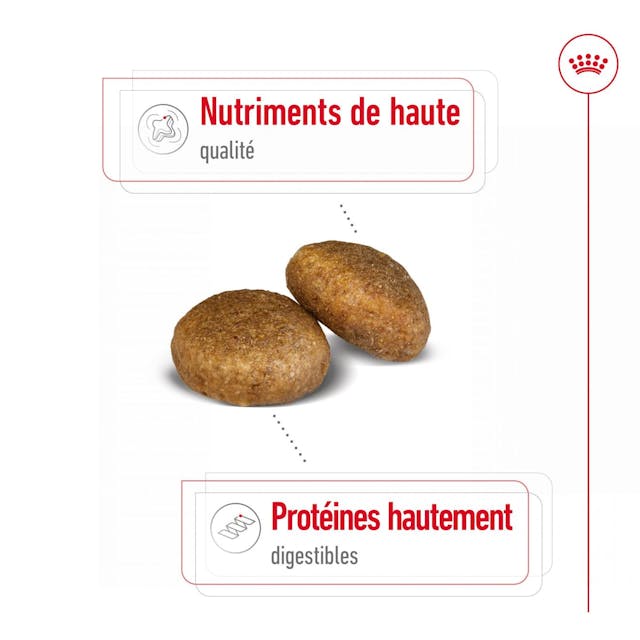 Royal Canin Maxi Adult - Croquettes pour chien (4 kg, 15 kg) thumbnail 3