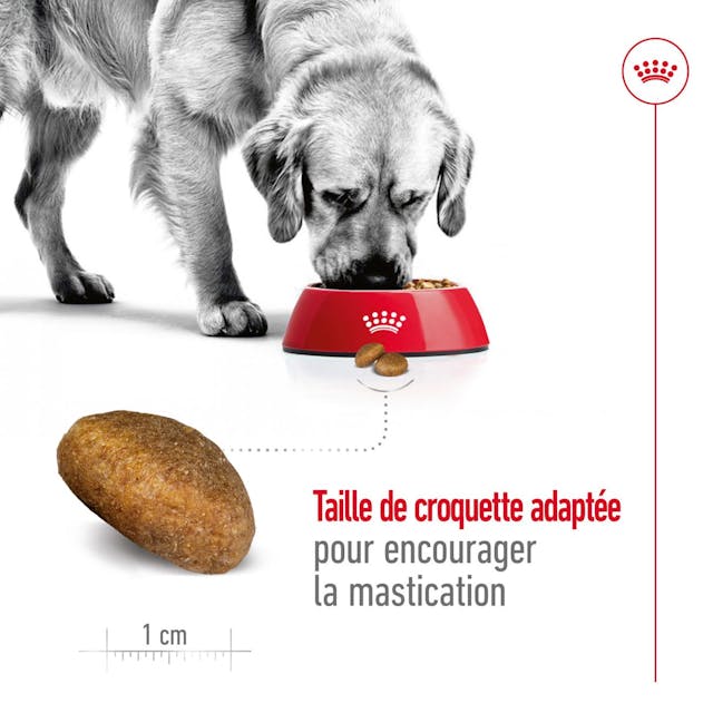 Royal Canin Maxi Adult - Croquettes pour chien (4 kg, 15 kg) thumbnail 4