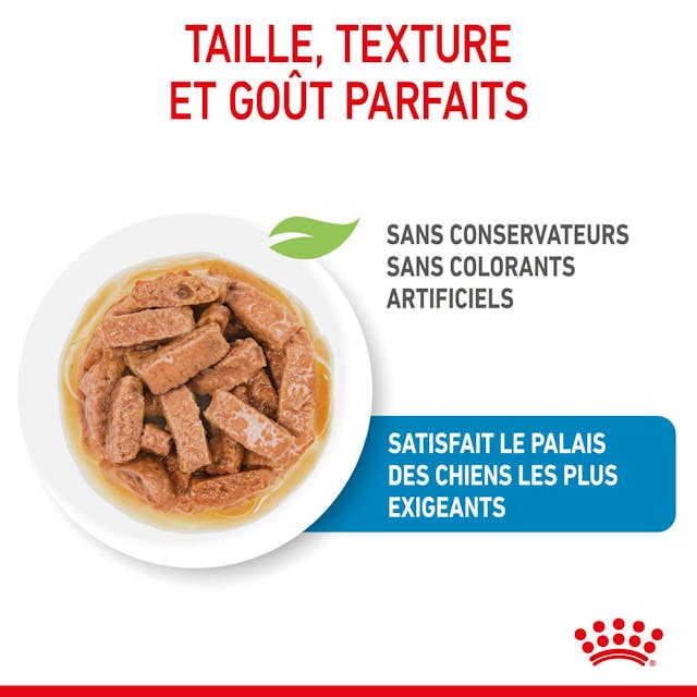 Royal Canin Maxi Puppy Chunks in Gravy - Nourriture humide pour chiens (140 g) thumbnail 2