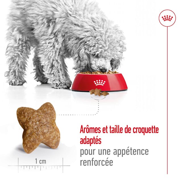 Royal Canin Mini Adult - 2kg / 8kg thumbnail 4