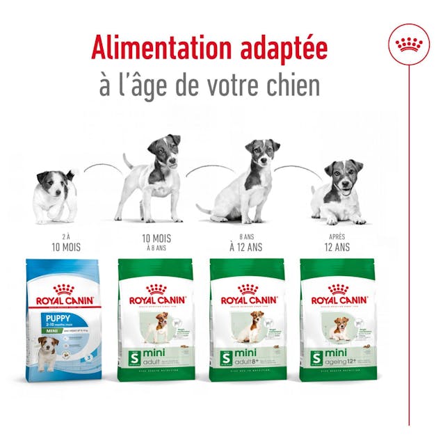 Royal Canin Mini Adult - 2kg / 8kg thumbnail 7