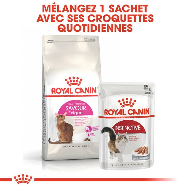 Royal Canin Savour Exigent – Croquettes pour chats difficiles thumbnail 4