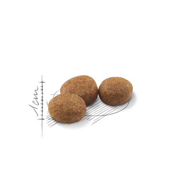 Royal Canin Sterilised 37 - Croquettes pour Chat Stérilisé (2 kg) thumbnail 6