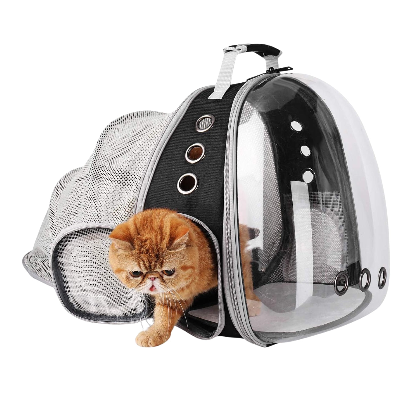 Sac à Dos pour Chat avec Bulle – Extensible et Homologué Avion thumbnail 2