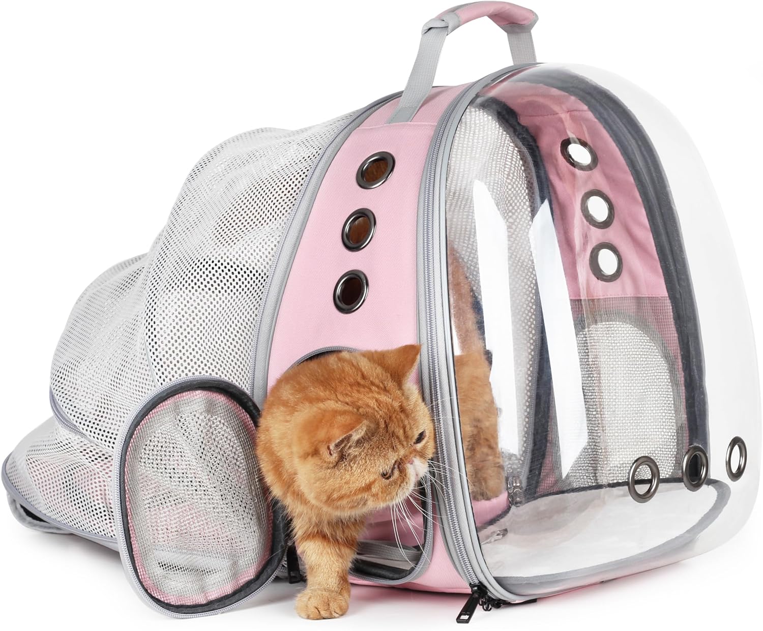 Sac à Dos pour Chat avec Bulle – Extensible et Homologué Avion thumbnail 3