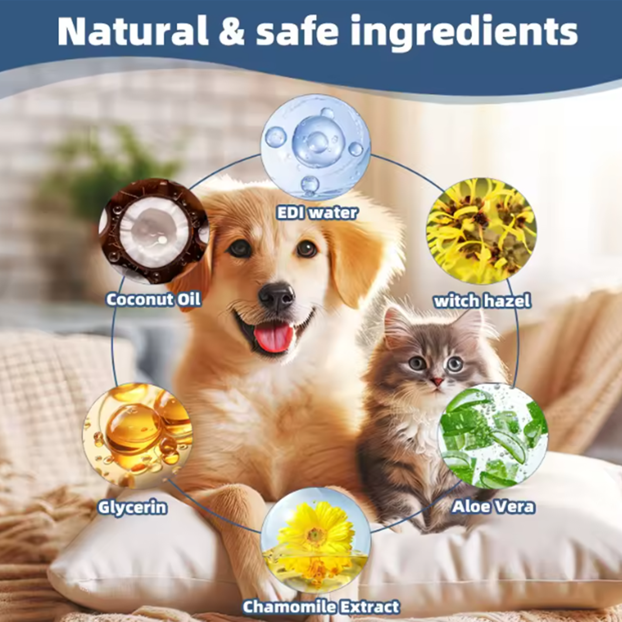 CLEAN/SMILE PACK thumbnail 8