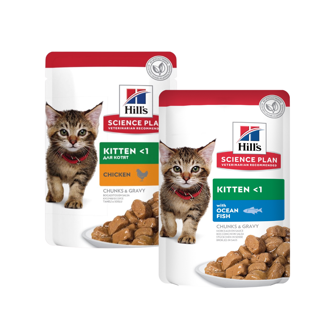 Sachets repas pour chaton Hill’s Science Plan – Poulet et Poisson en sauce (Pack de 12 × 85 g) - 1