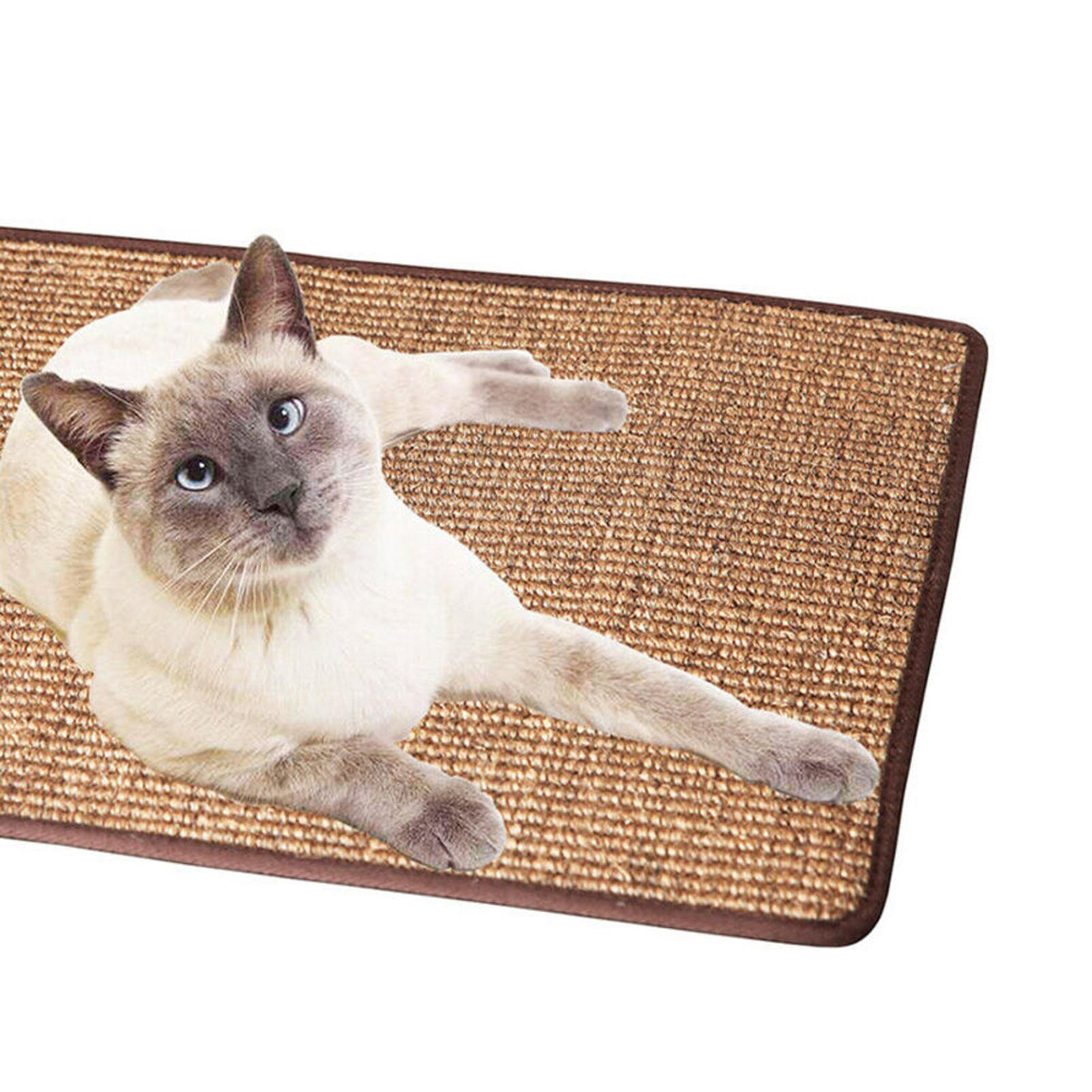 Tapis griffoir pour Chat, protège-meubles, pour un soin sain des ongles thumbnail 4