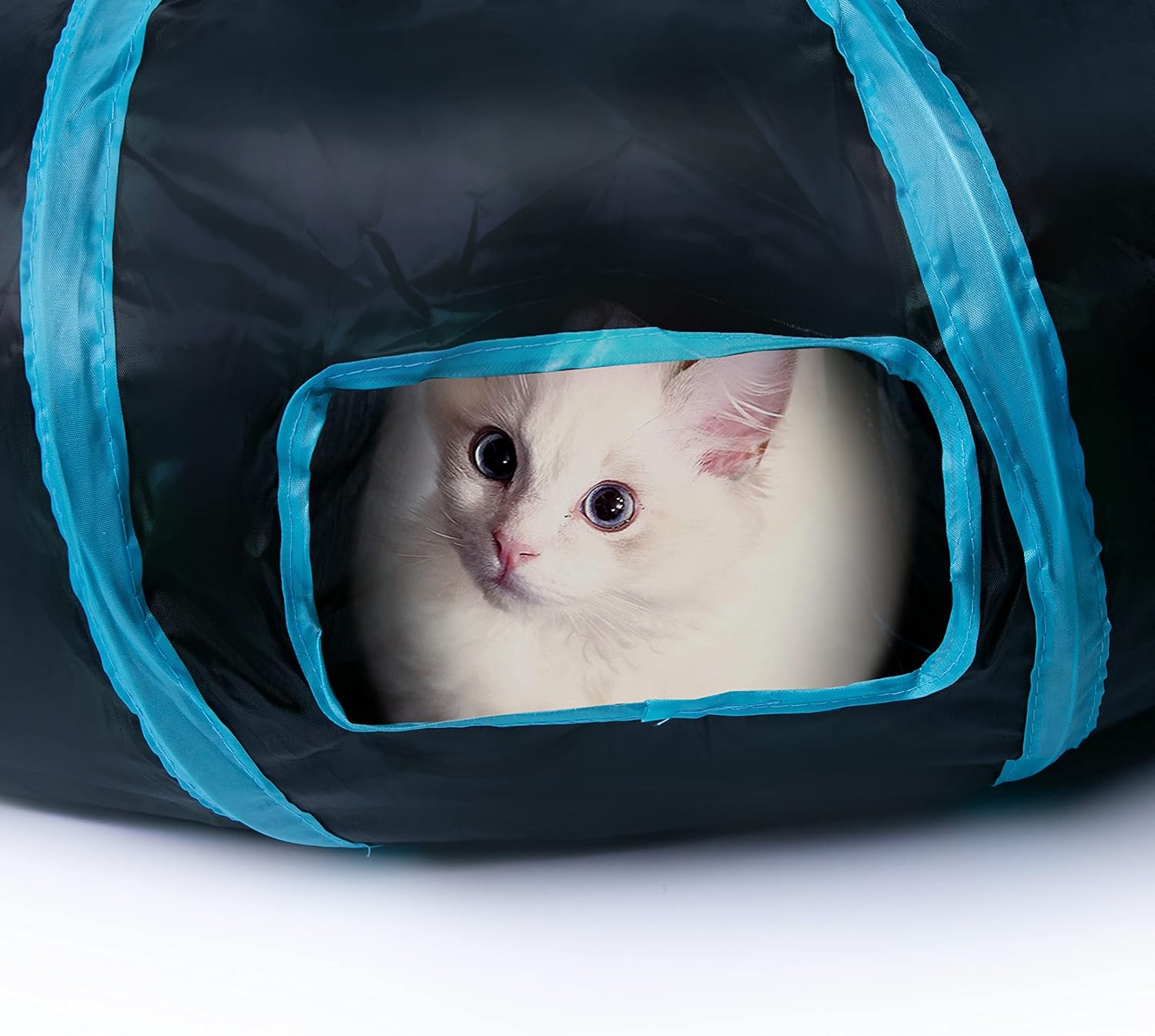 Tunnel interactif en forme de S pour chat avec jouet à balle suspendue thumbnail 6