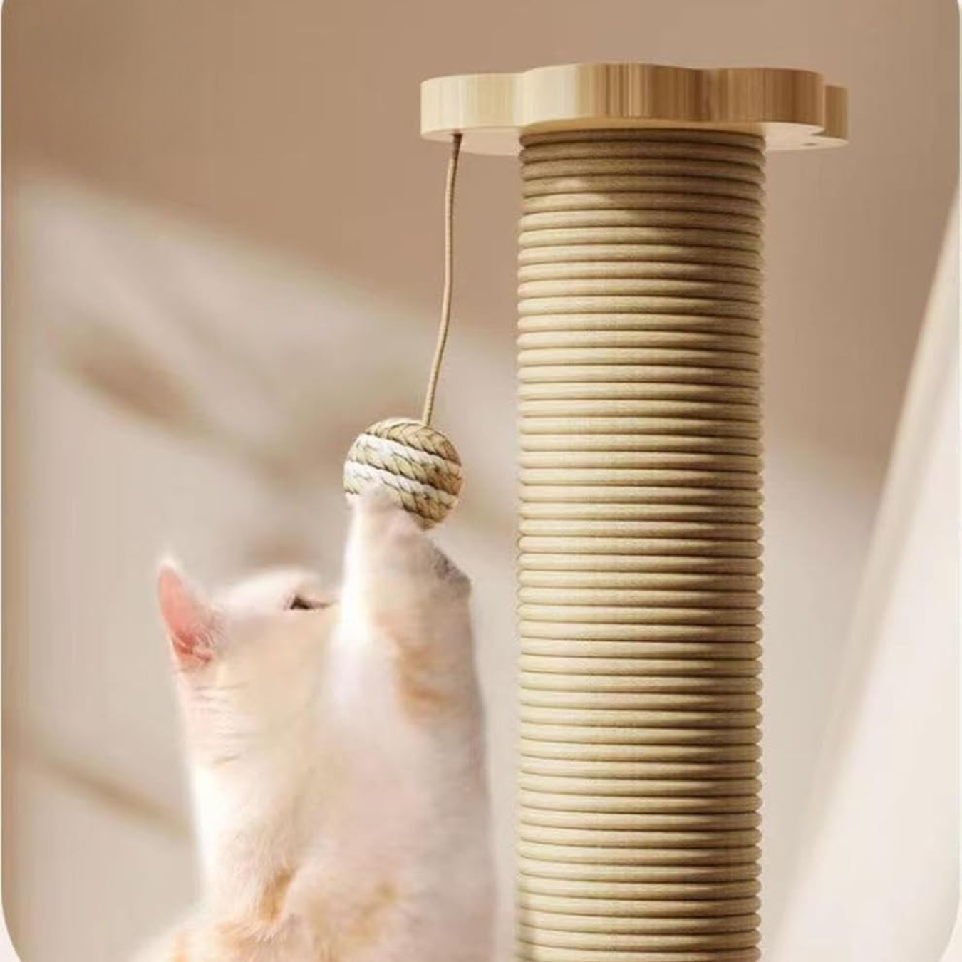 Jouet pour chat en bois avec griffoir en sisal et plateau tournant thumbnail 8