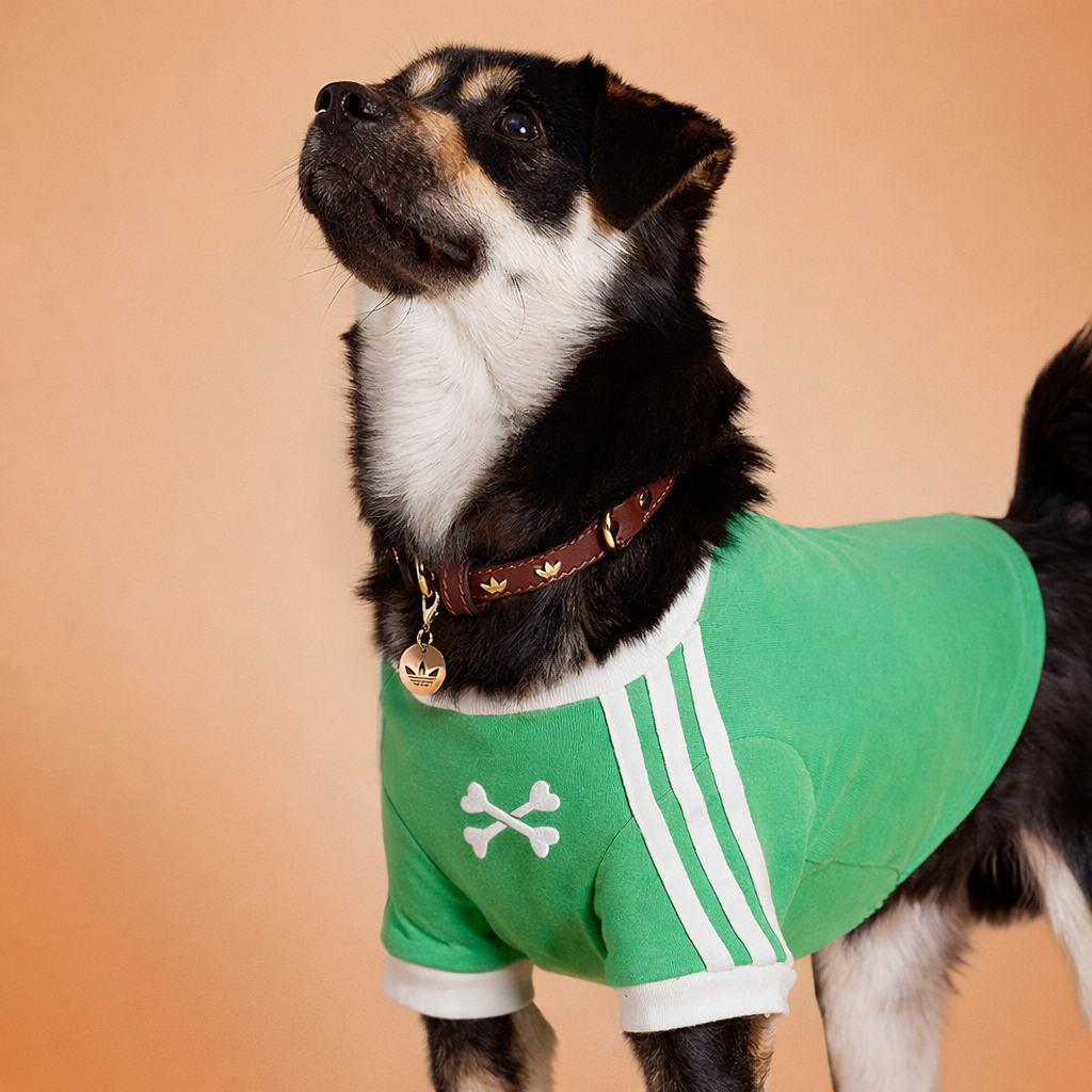 Poopydas Tendance Pull – Collection Couleurs thumbnail 10