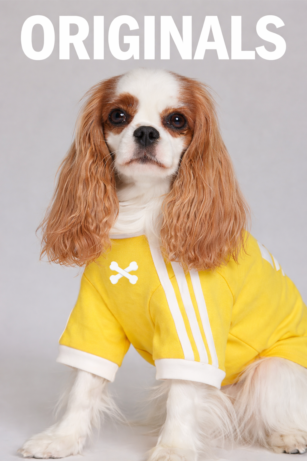 Poopydas Tendance Pull – Collection Couleurs thumbnail 3