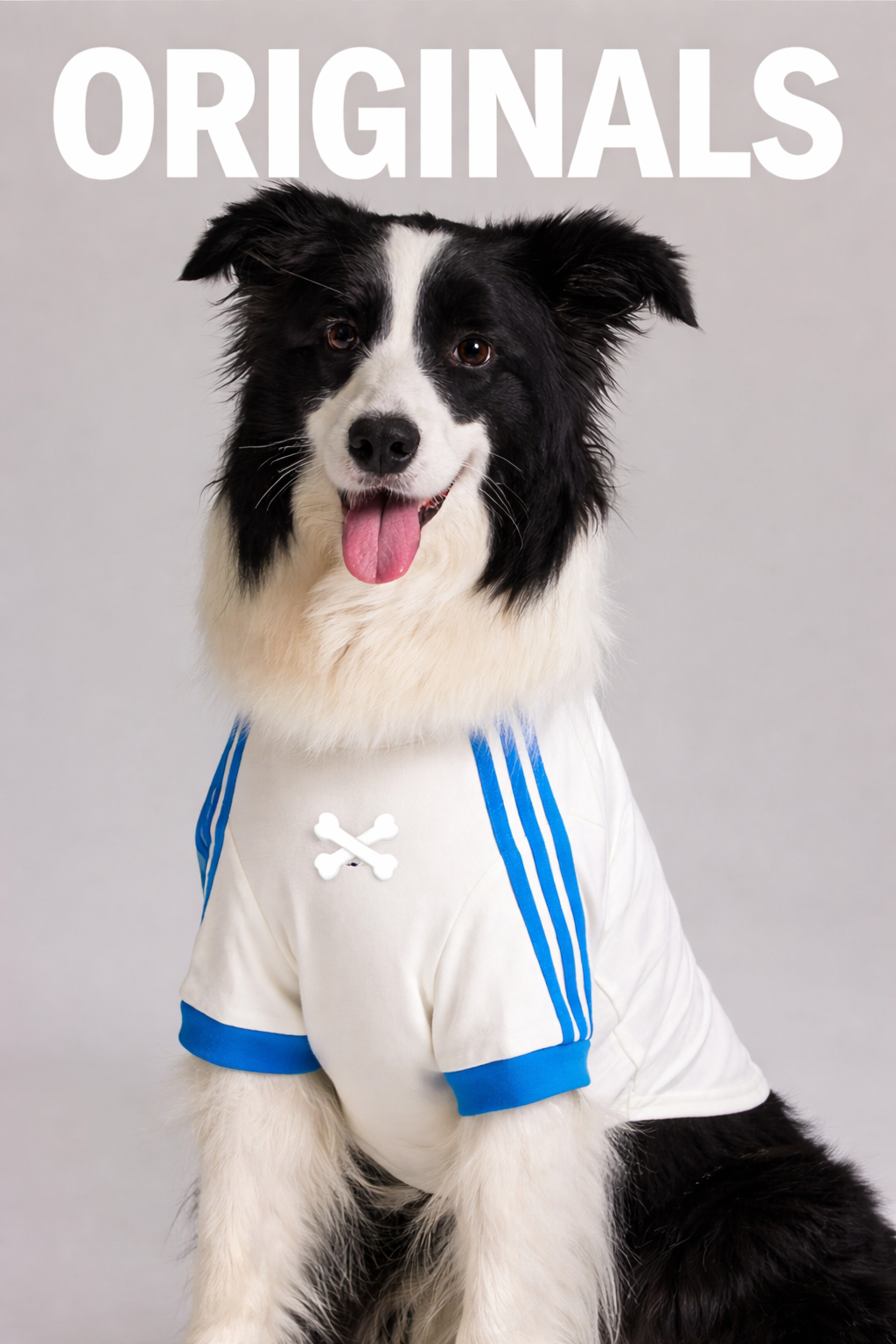 Poopydas Tendance Pull – Collection Couleurs thumbnail 6