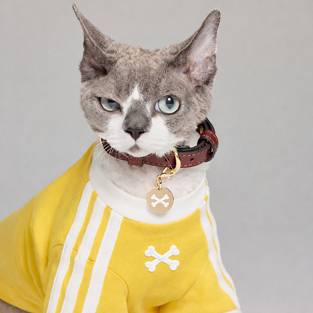 Poopydas Tendance Pull – Collection Couleurs thumbnail 7