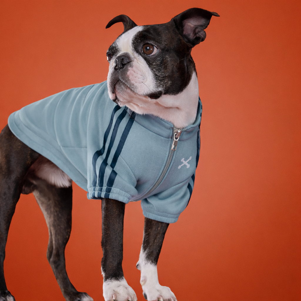 🐾 Poopydas Tendance Zip thumbnail 2