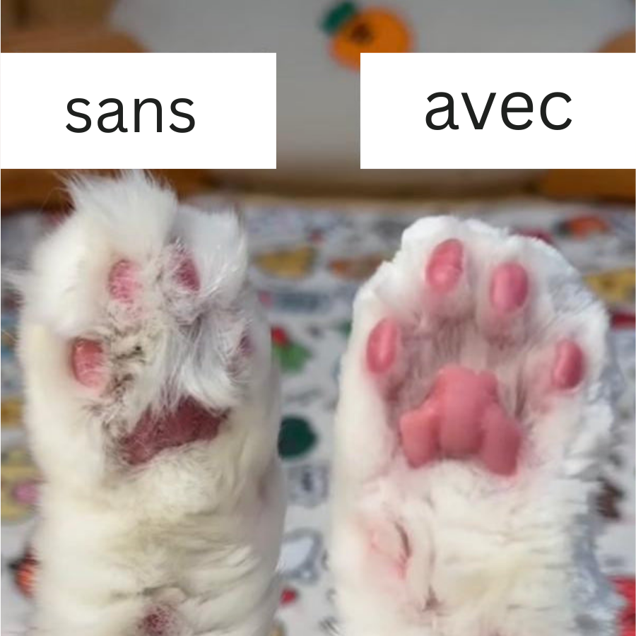 Tondeuse Professionnelle pour Animaux thumbnail 3